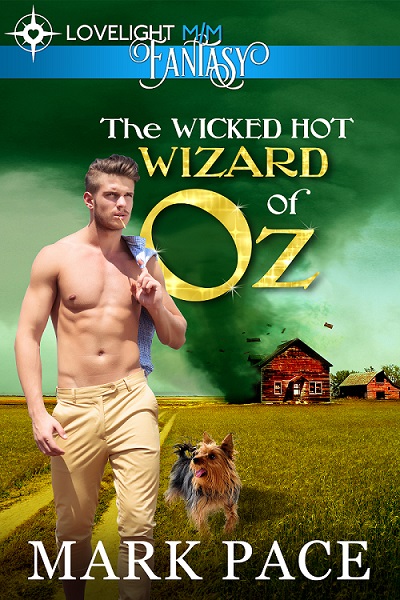 Gay Novel Wicked Hot Wizard of Oz Cover